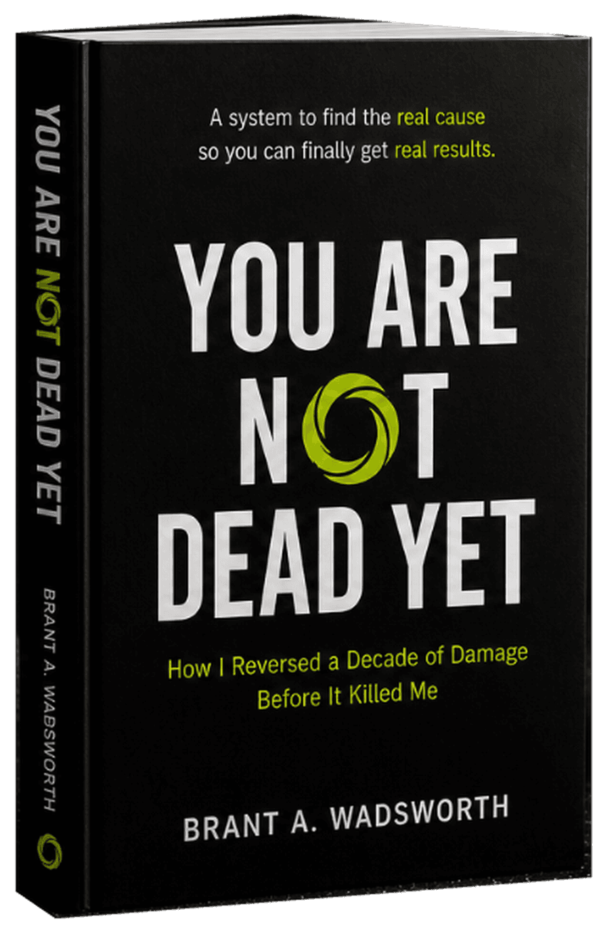 You Are Not Dead Yet — book cover